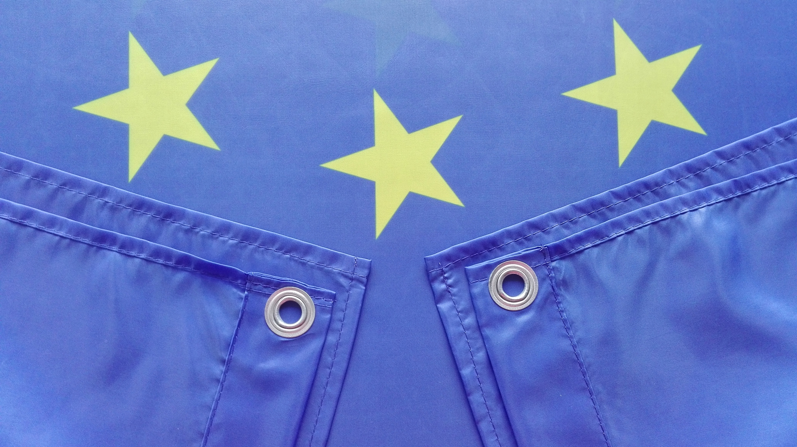 Flaga Unii UE 90 x 150 cm na Maszt (2) - 42 Rodzaj flaga