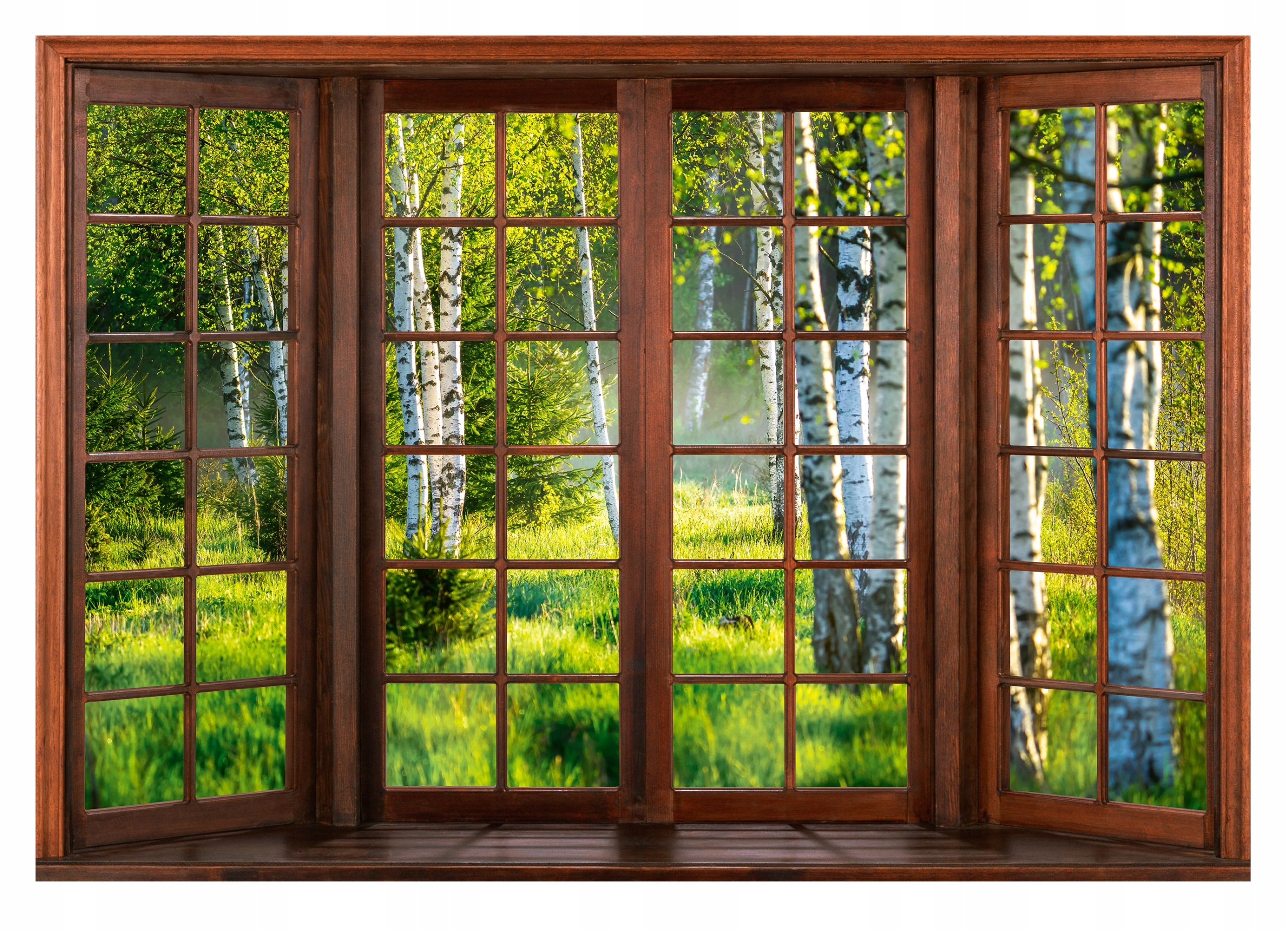 

Fototapeta Widok Z Okna 3D Las Brzozy Okno 254x184