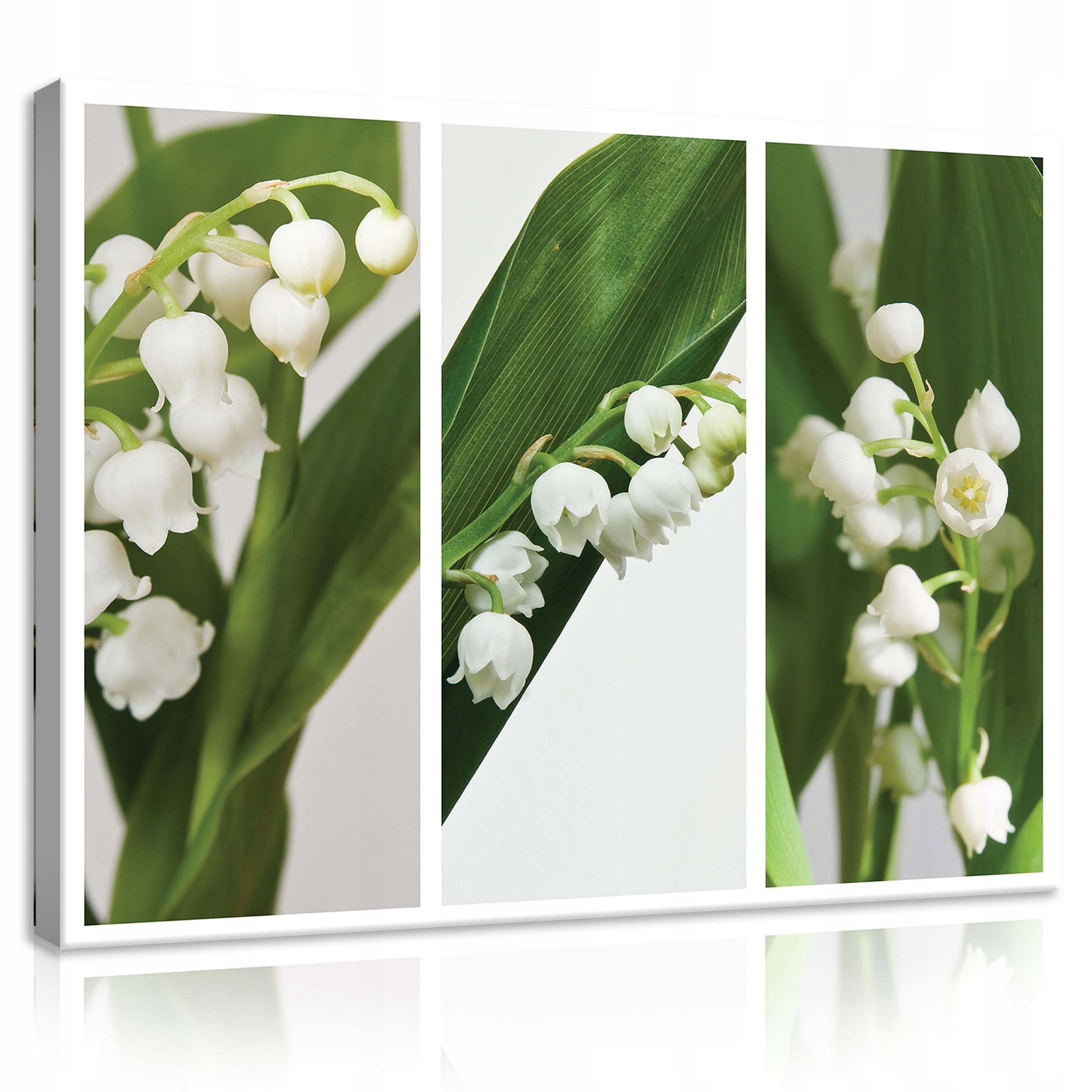 Obraz 80x60 Konvalinka květiny bílá zelená jaro svěžest příroda