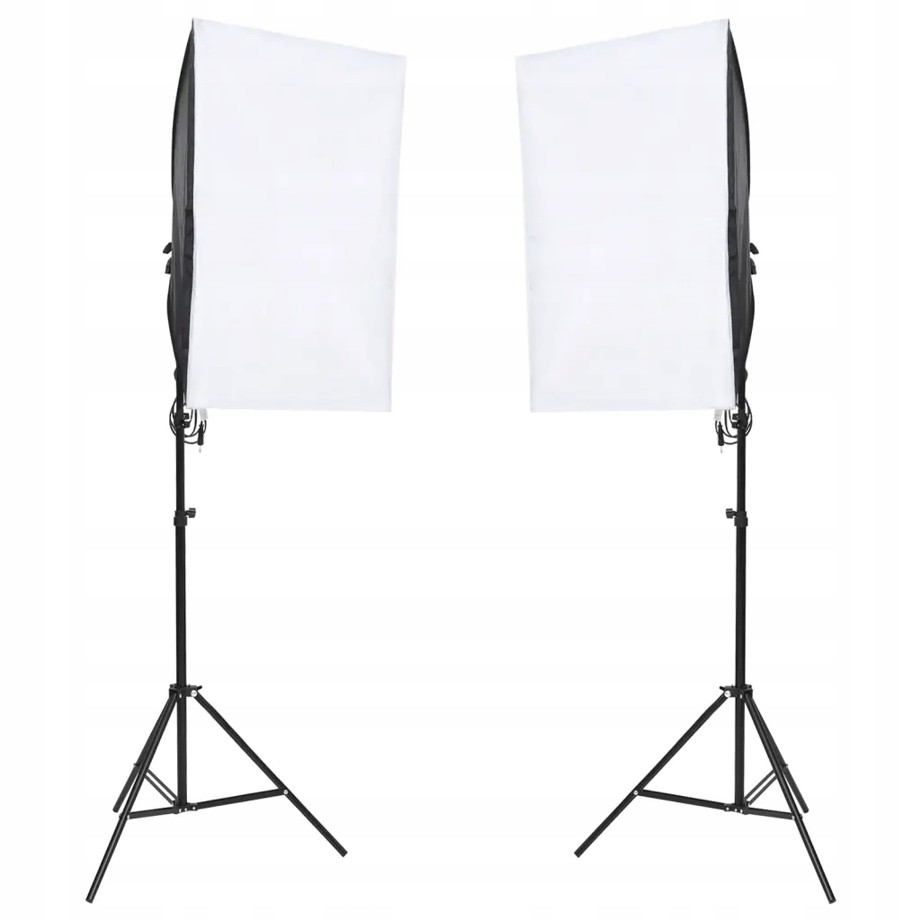 vidaXL Profesjonalne lampy studyjne, 2 szt., 40x60 cm