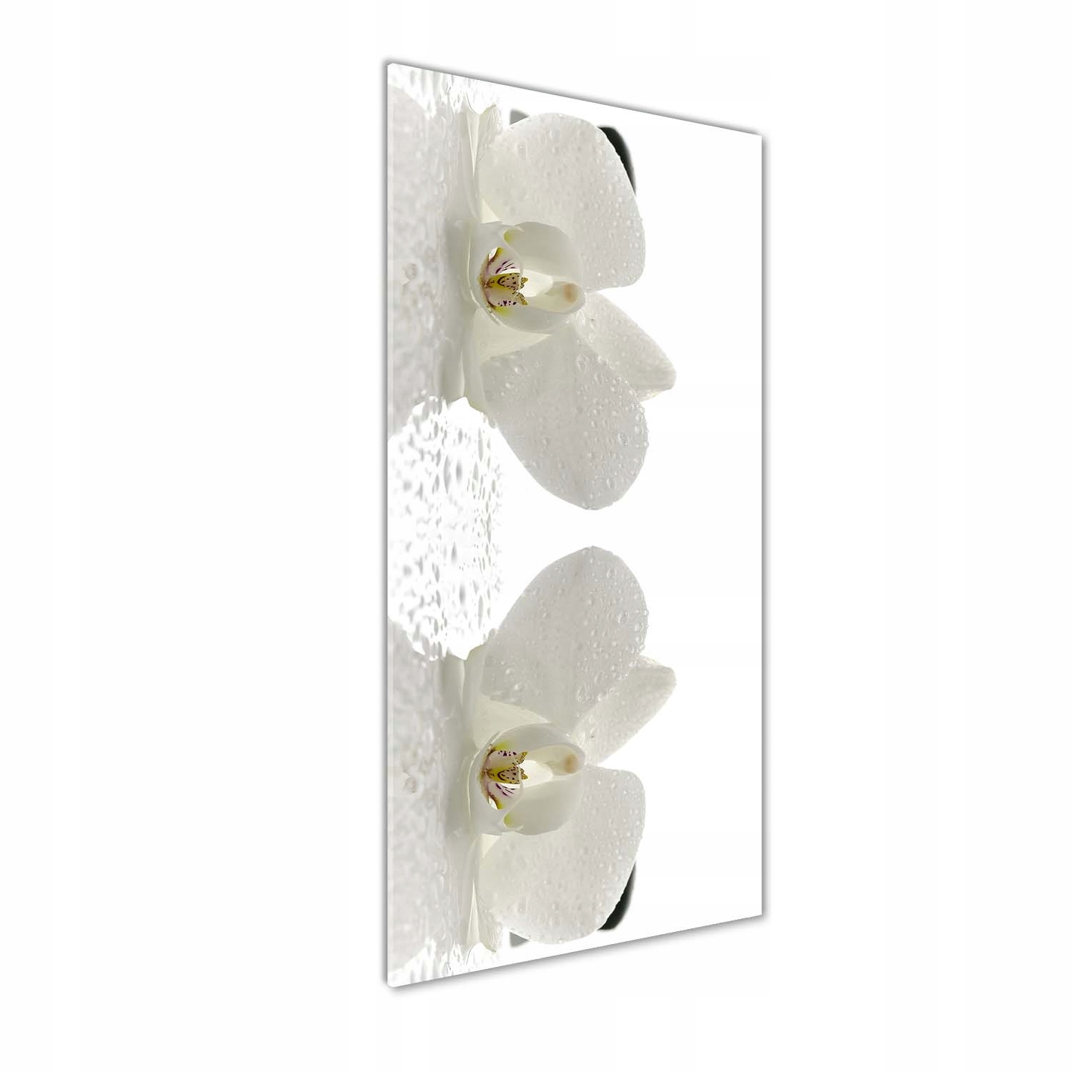 

Foto obraz na szkle Orchidea i kamienie 50x125 cm