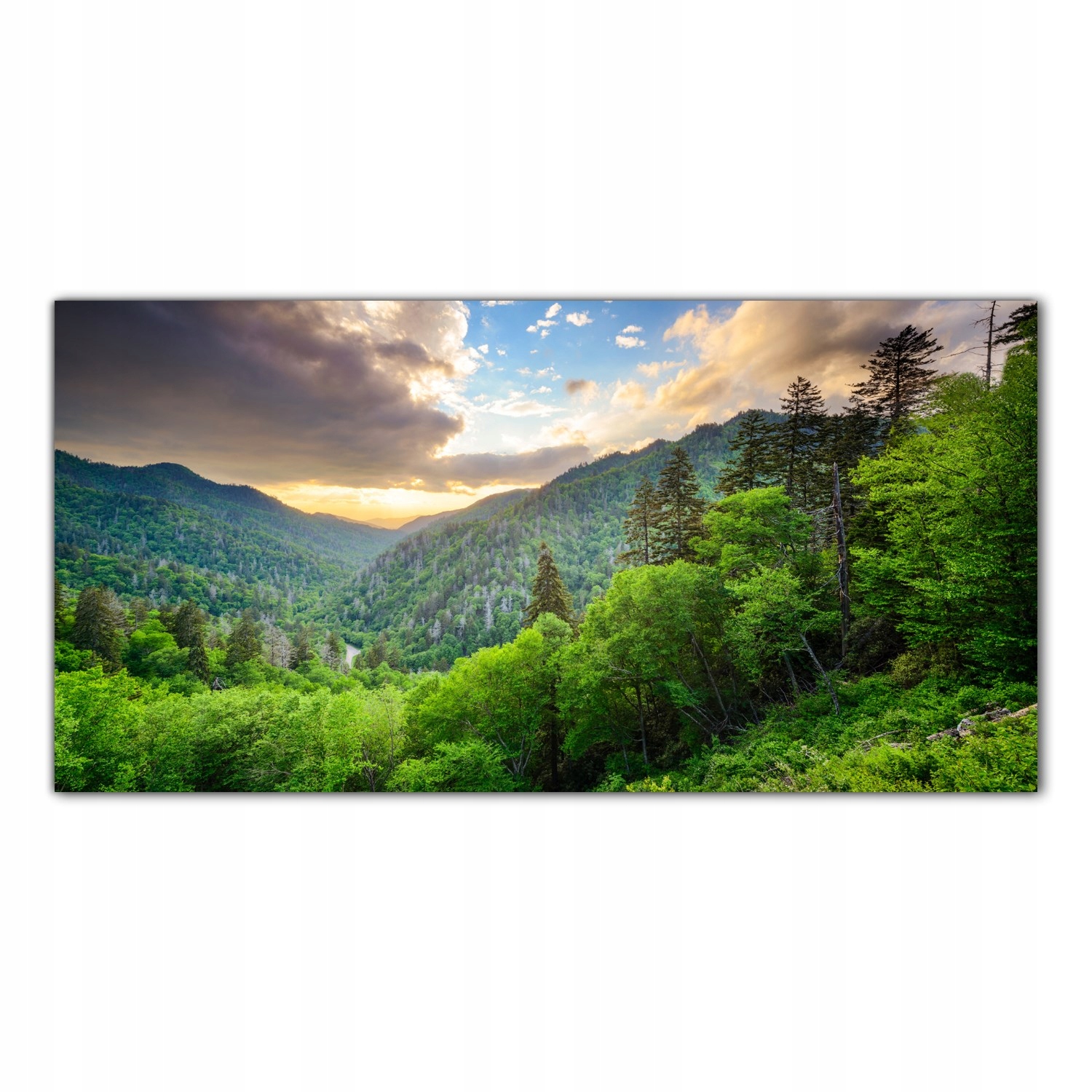 

Obraz Szklany Foto-obraz Góry Mgła Natura 140x70