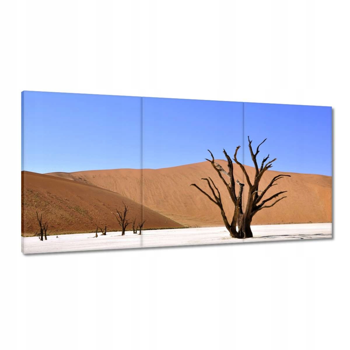 Obrazy 180x90 Strom na púšti