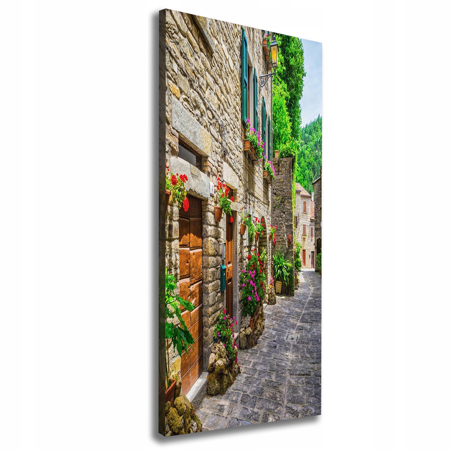 

Foto obraz na płótnie Urokliwa uliczka 50x125 cm