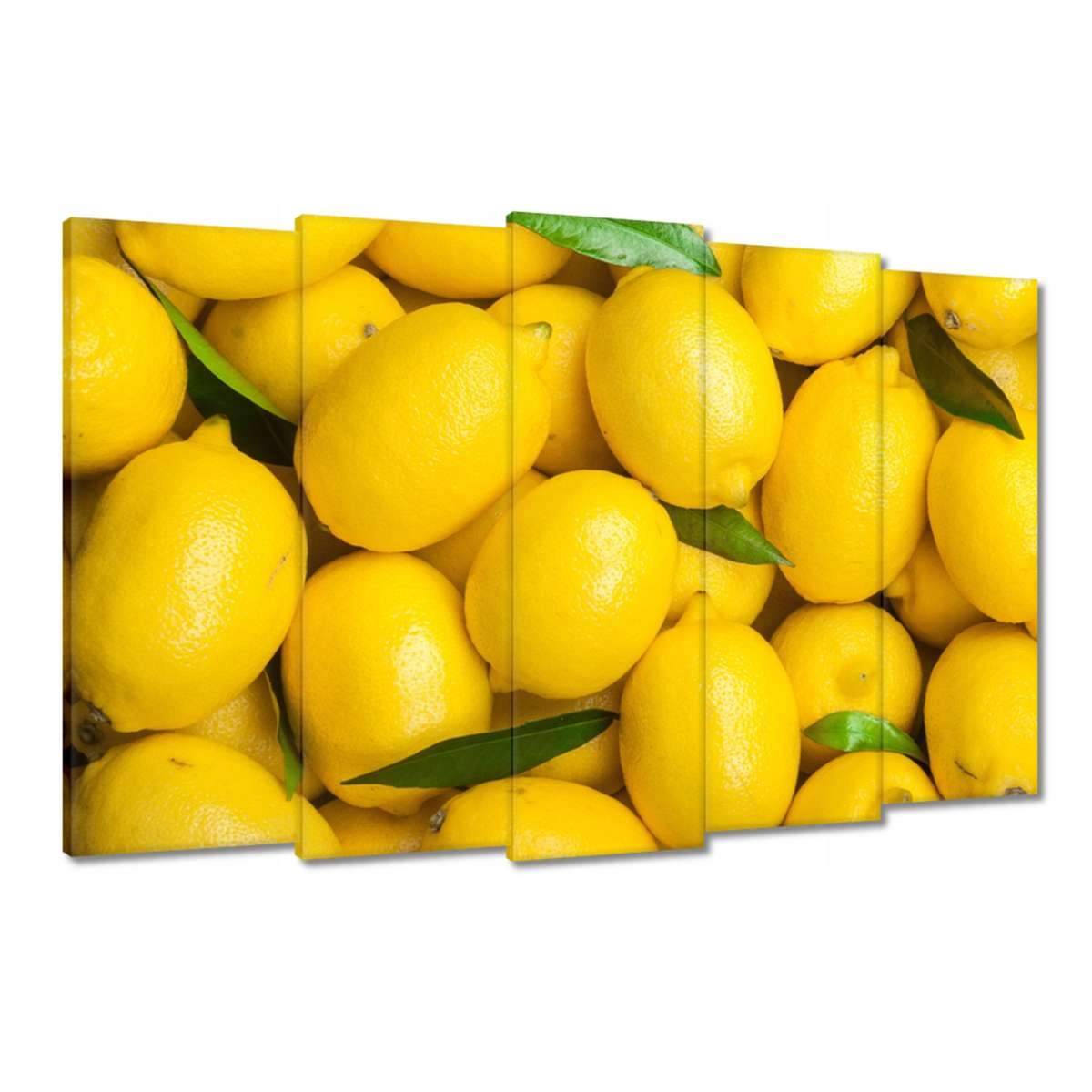 Obrazy 150x95 Mnoho citronů