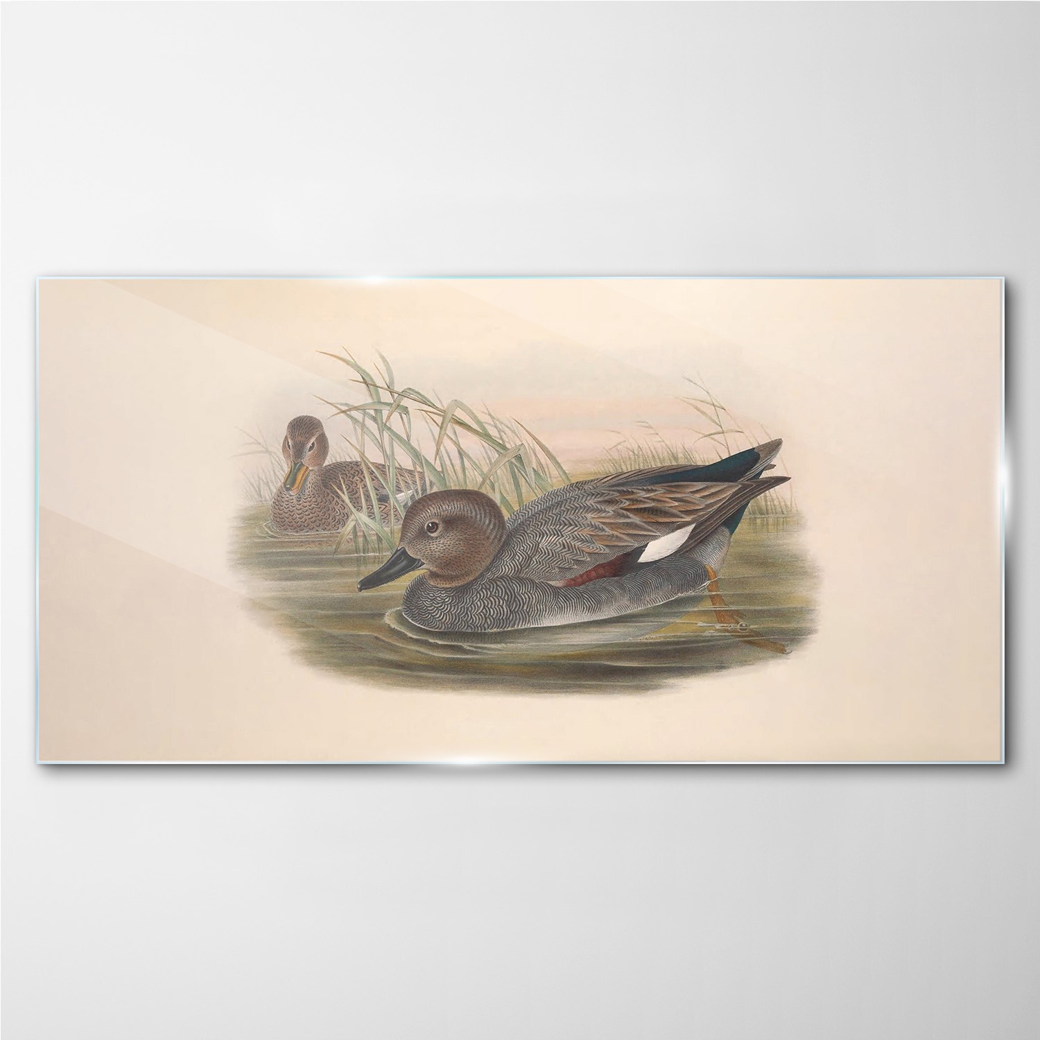 

Obraz szklany na ścianę Ptaki zwierzęta 140x70 cm