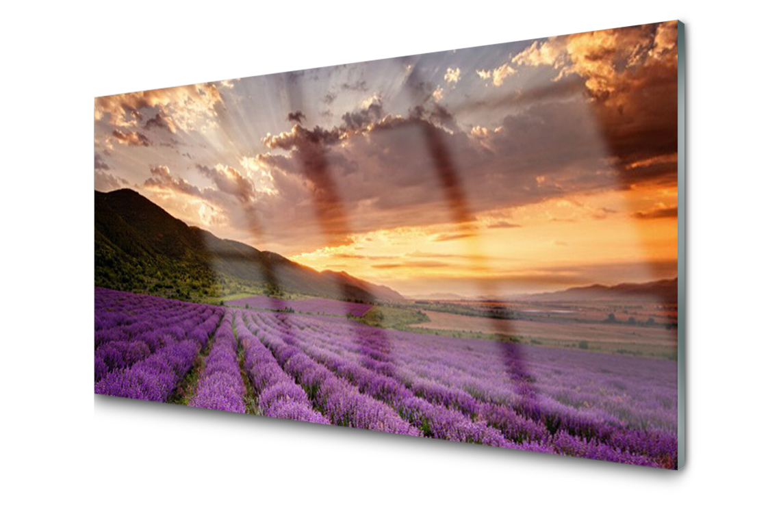 

Panel szklany Płytka Pole Lawendy Słońce 100x50
