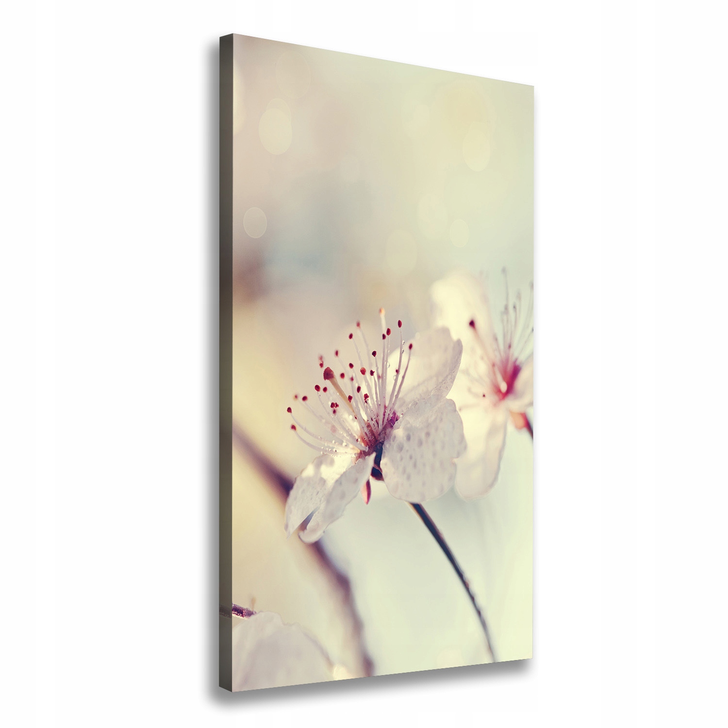 

Foto obraz canvas do salonu Kwiaty wiśni 70x140