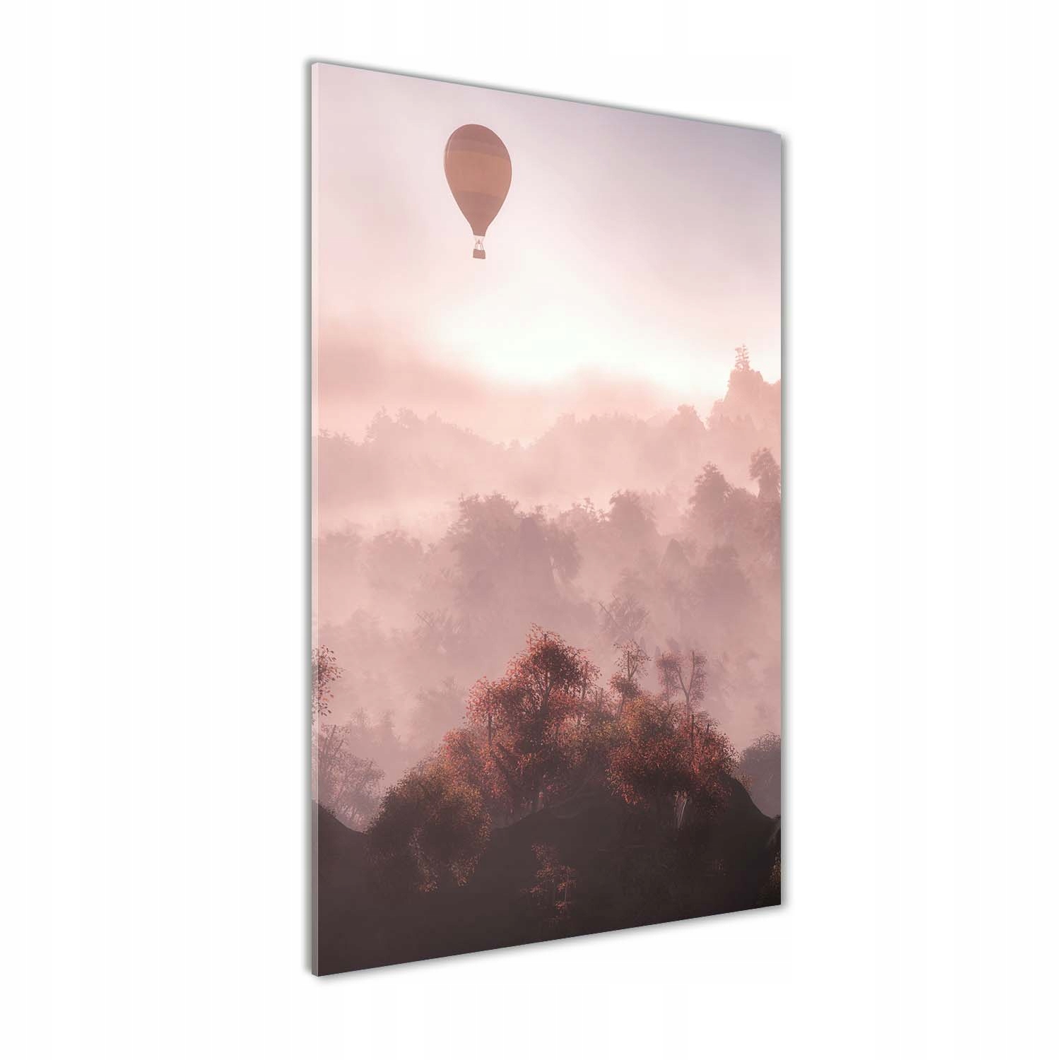 

Foto obraz na szkle Latający balon las 70x140 cm