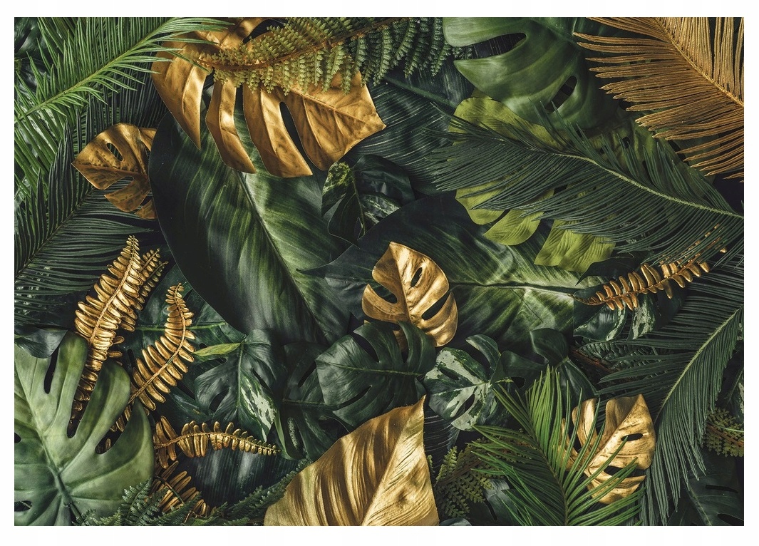 

Fototapeta 3D Liście Monstera Tapeta Salon 416x254