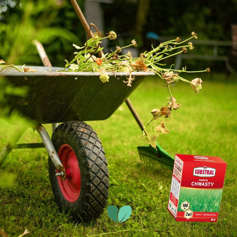 Substral Nawóz do trawnika zwalcza chwasty 1kg Kod producenta 1262101