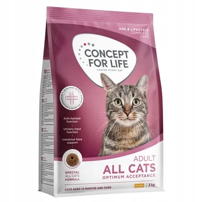 Sucha Karma Concept for Life All Cats Smak Kurczak 3 Kg