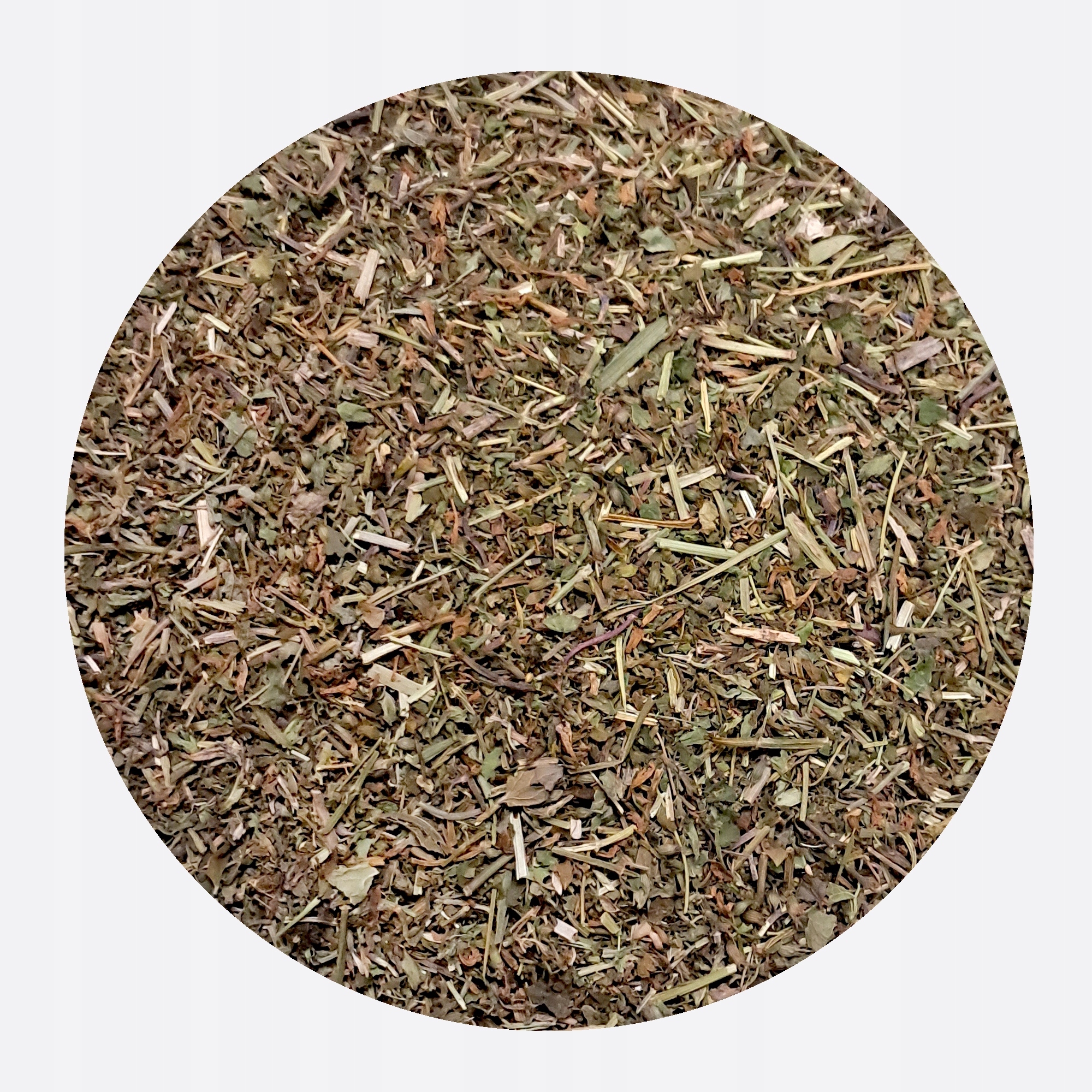 Břečťan kurdybanek Řezaná bylina Glechoma hederacea Mystic.Garden 100 g