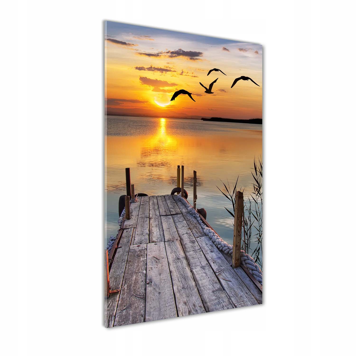 

Foto obraz akryl do salonu Drewniane molo 50x100cm