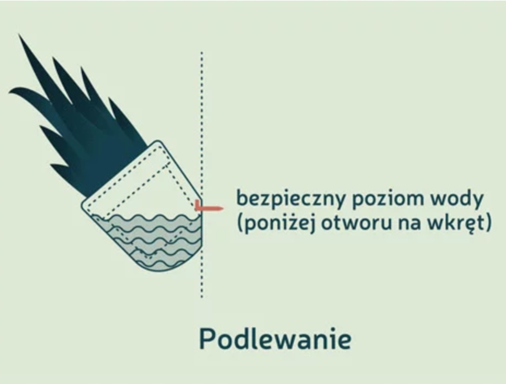 DONICZKA WISZĄCA PLASTIKOWA doniczka produkcyjna gratis TARAS MAŁA OSŁONKA Rodzaj osłonka
