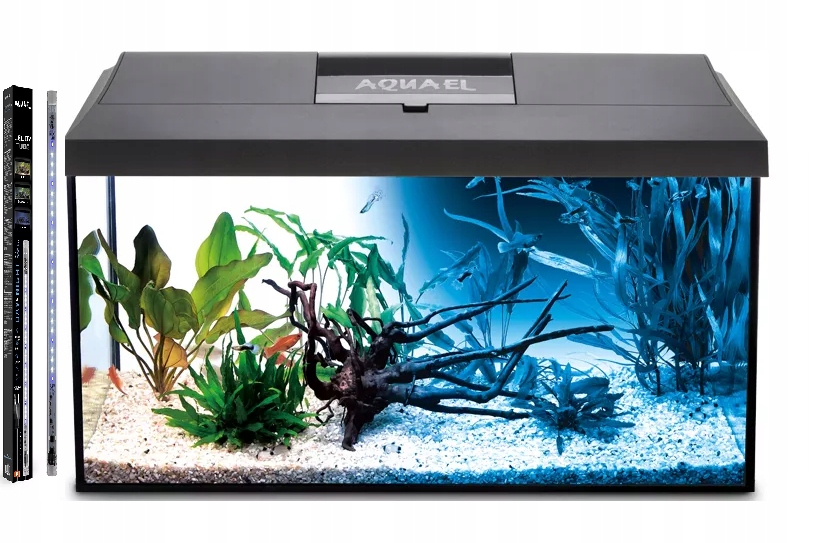 72L Akwarium Prosty Wyposażenie Pokrywa Aquael Leddy Dzień Noc 3 Tryby