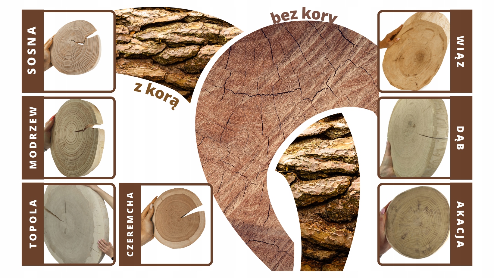 Panel dekoracyjny 76x38x3 Plastry dębowe 4 szt Materiał drewno