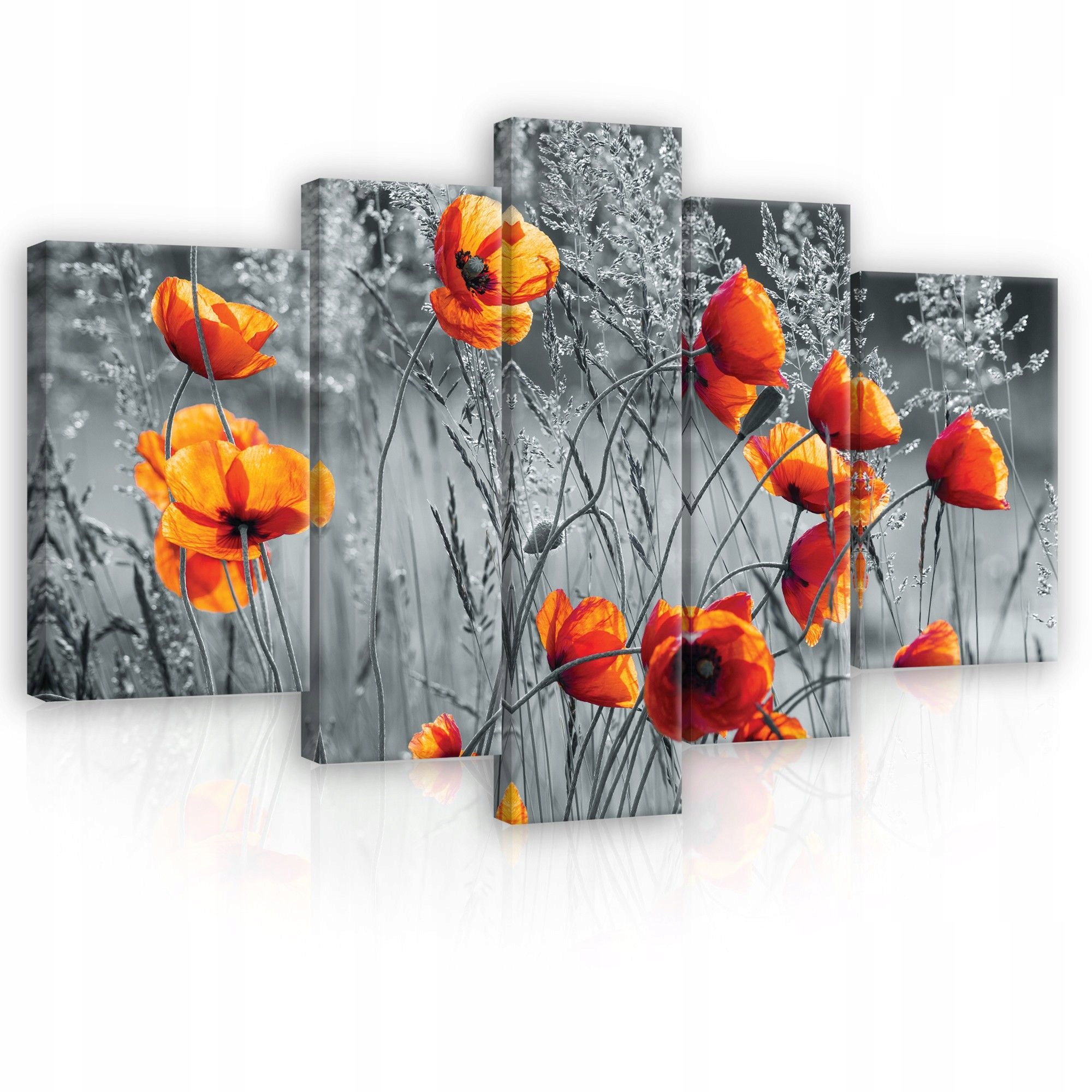 Obraz 170x100 Maky pole makov červená kvety leto príroda kontrast