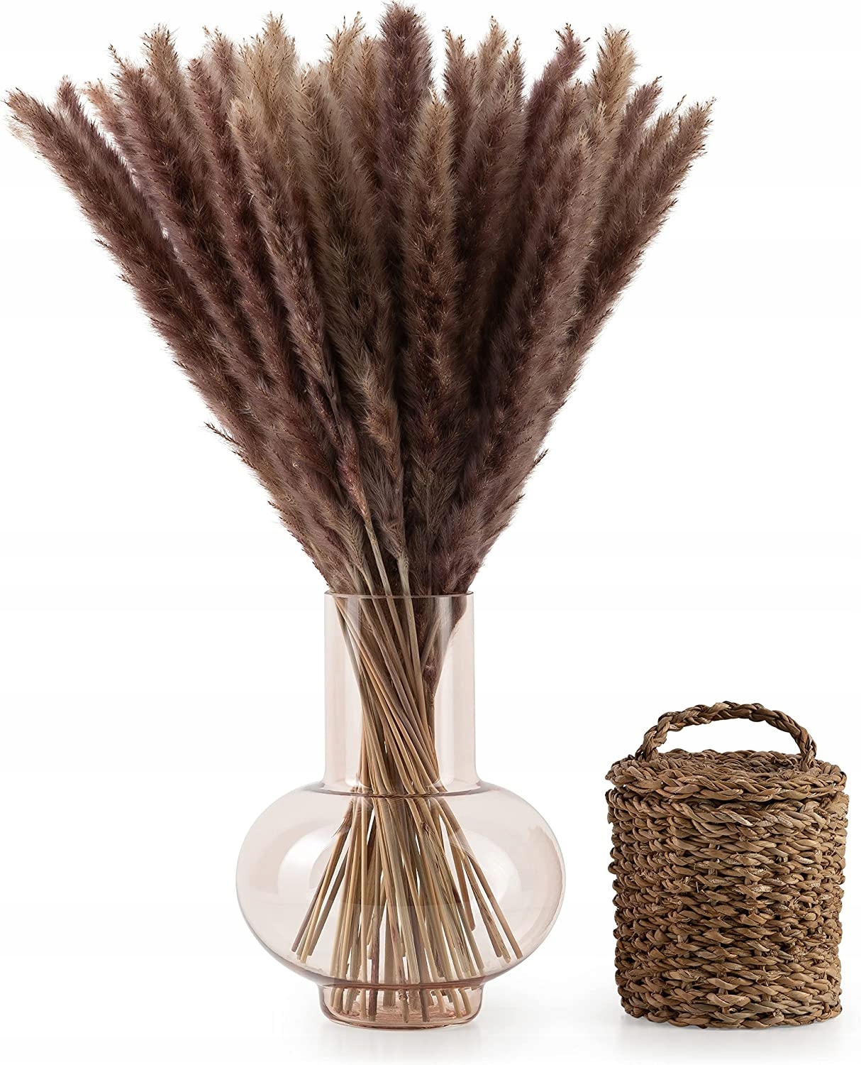 

Trawa Pampasowa Suszona Kolor Brązowy 50 Sztuk