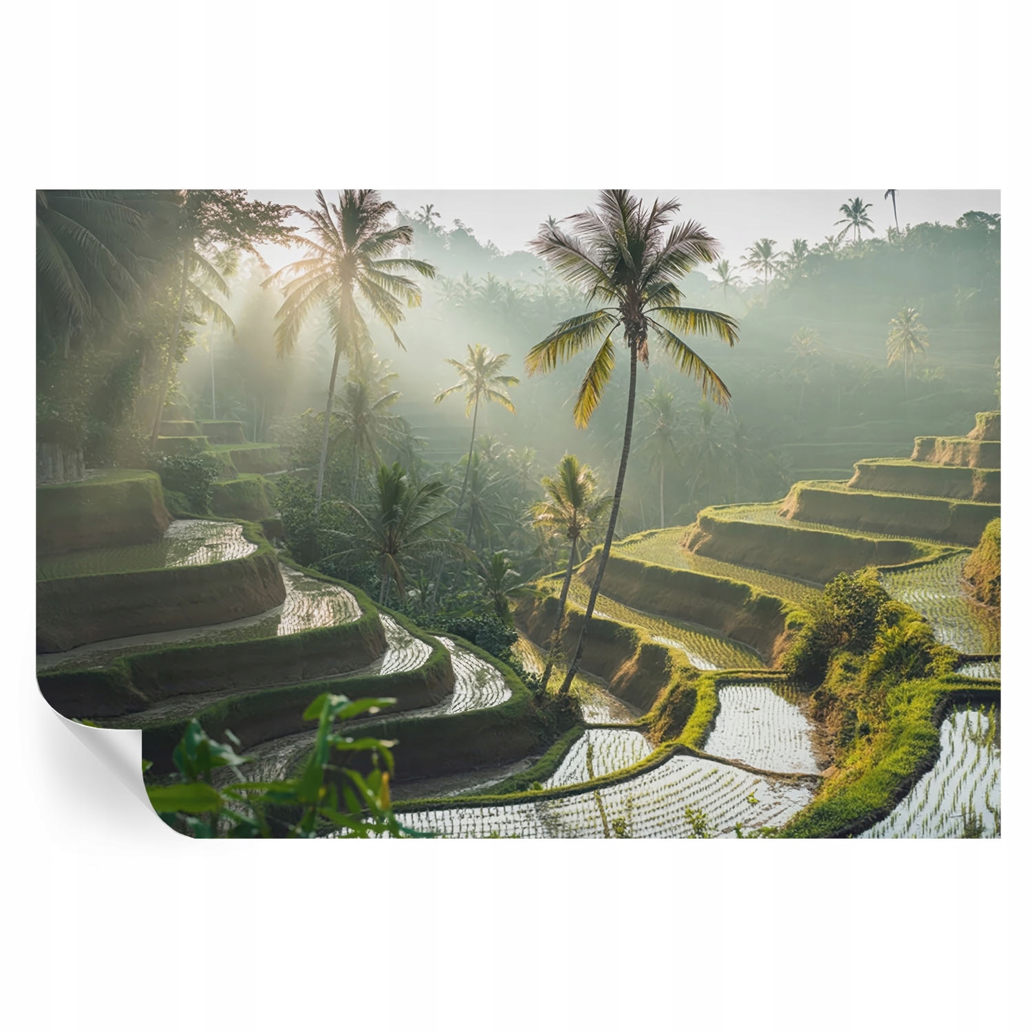 Samolepicí fototapeta Dekorativní do kanceláře Rajské terasy 104x70 cm