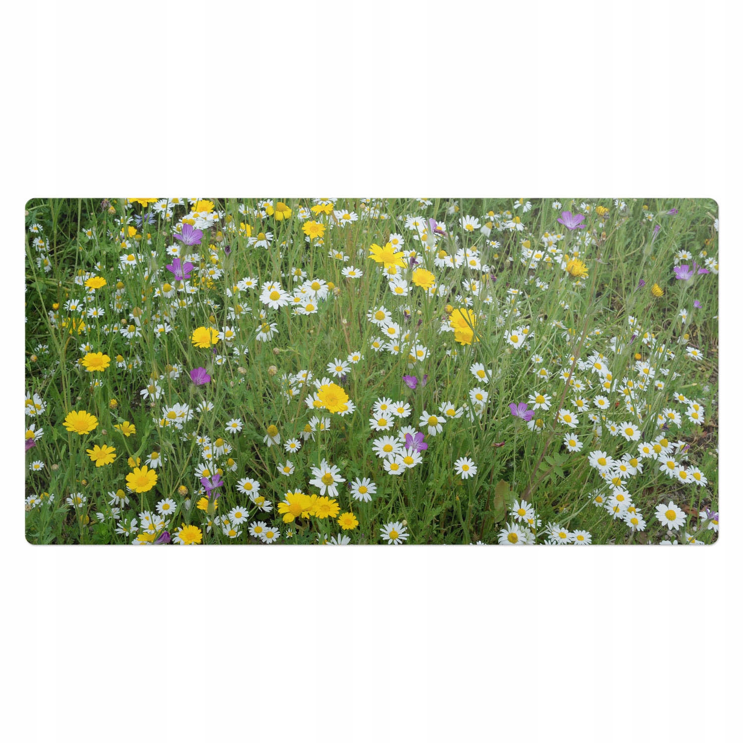 Podložka na psací stůl se vzorem pro teenagery a studenty Folková louka 100 x 50 cm
