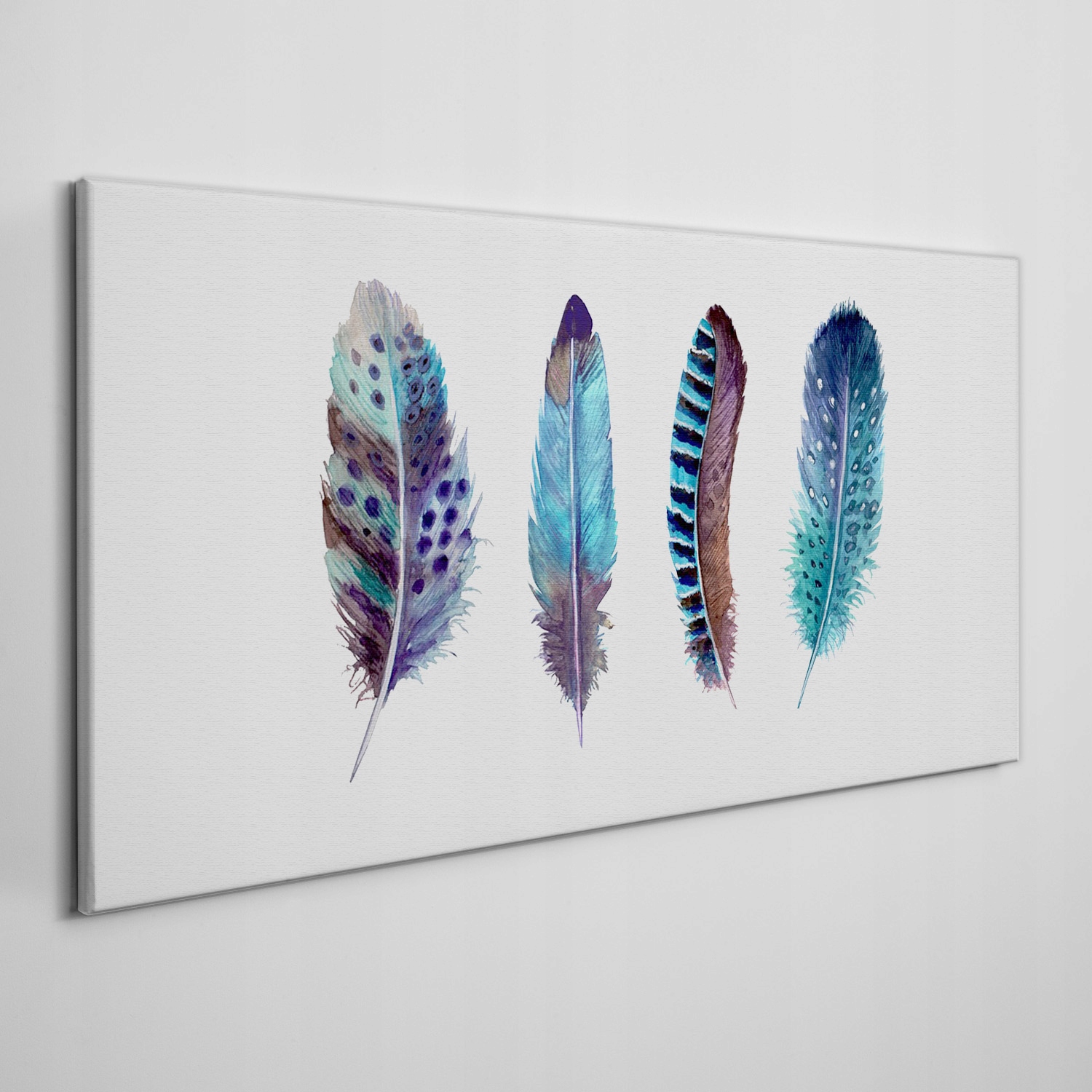 

Obraz na ścianę do salony płótno Pióra 100x50 cm