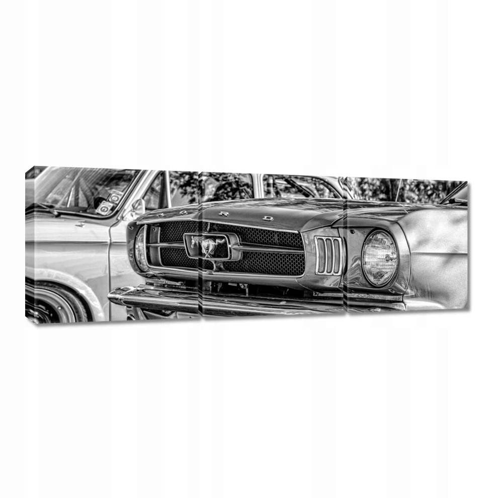 

Obrazy 120x40 Ford Mustang