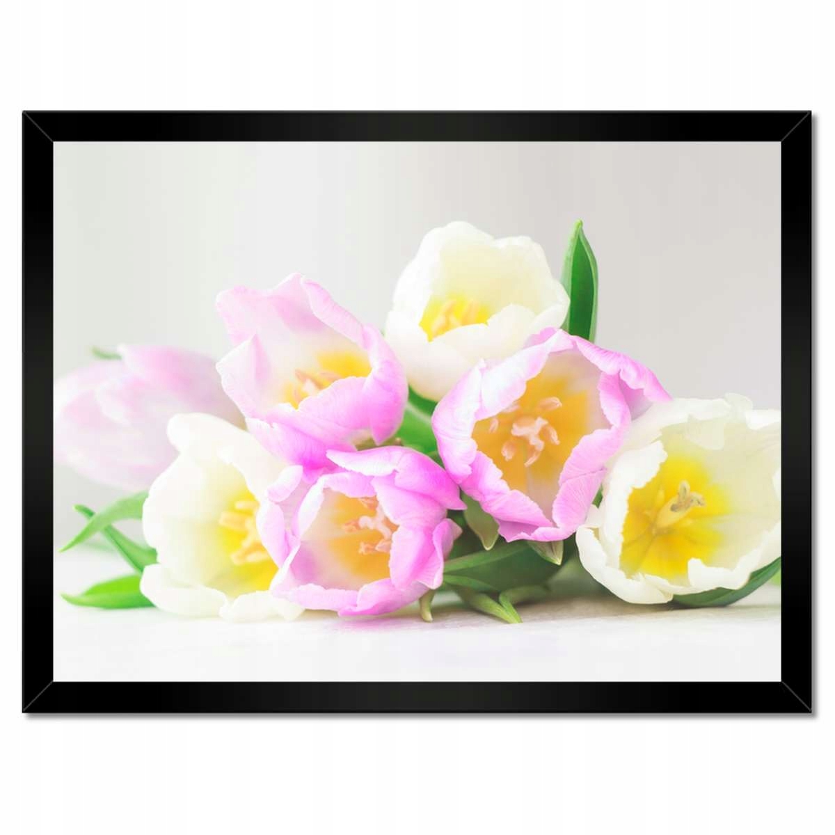 Plakáty v rámu 40x30 Jemné tulipány