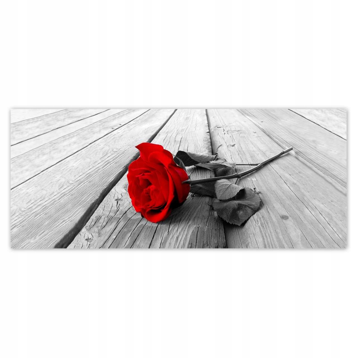 Fototapety 250x104 Růže dárek k Valentýnu
