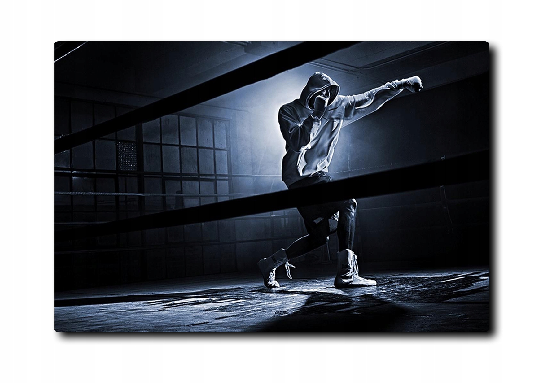 

Foto obraz 70x50 Boks 02
