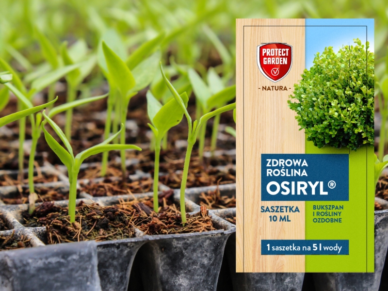 STYMULATOR WZROSTU UKORZENIACZ OSIRYL LEPSZY WZROST ROŚLIN 10ML Zastosowanie inne