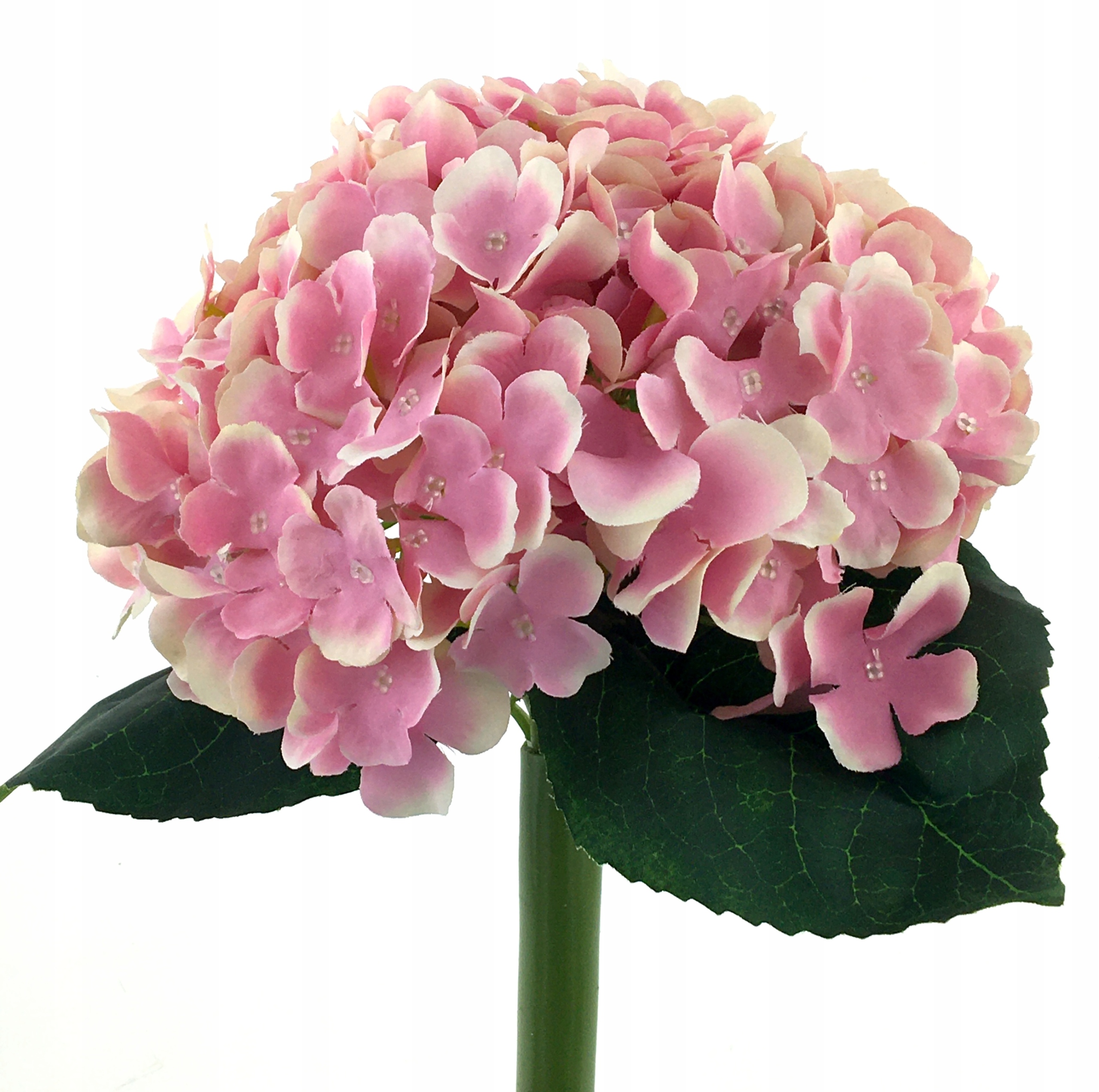 

Hortensja Różowa Bukiet Bundle 28 cm