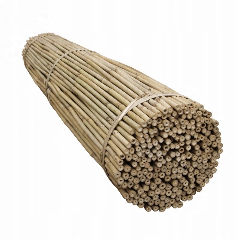 

Tyczka bambusowa 12-14 mm 150 cm 10 szt