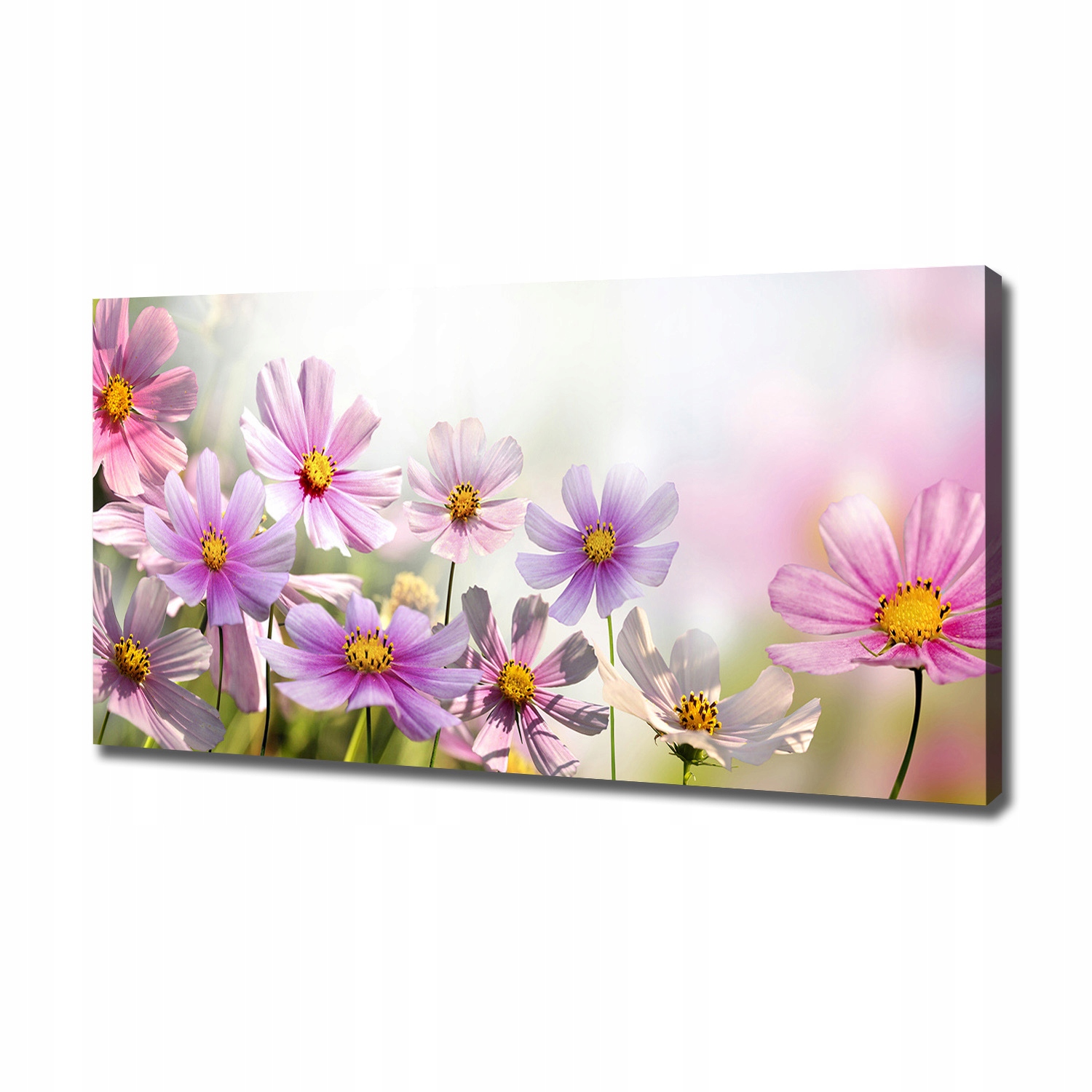 

Foto obraz na płótnie Kwiaty na łące 120x60 cm