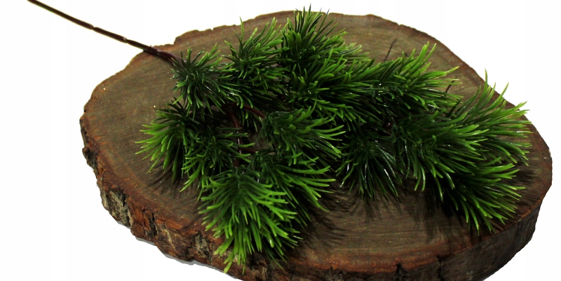 

Modrzew Gałązka Dekoracyjna Zielona 42 cm