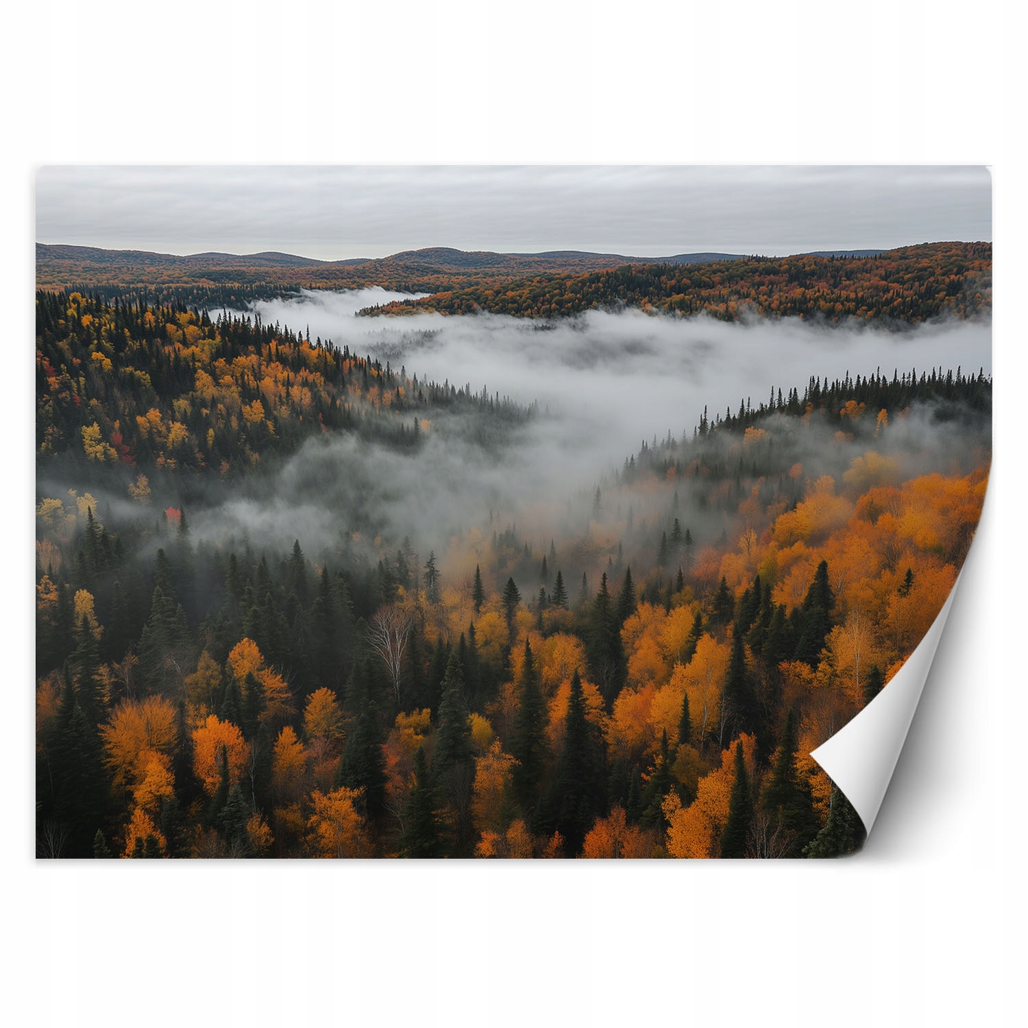 Fototapeta do salonu sypialni, Las we mgle natura pejzaż 400x280
