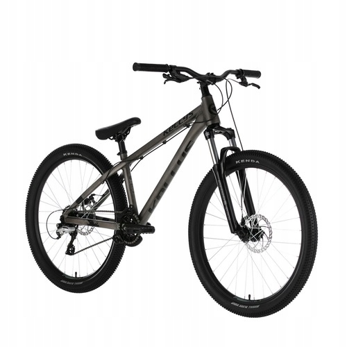 KELLYS DIRT WHIP 10 RAW rama M