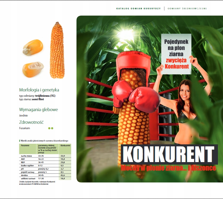 Semena Kukuřice Konkurent Fao 240