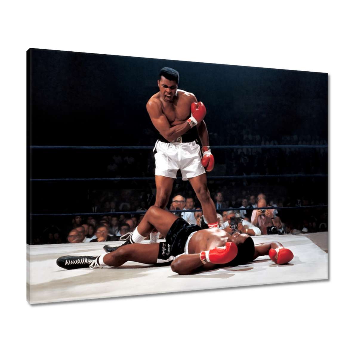Obrazy 80x60 Muhammad Ali Boxer Boj