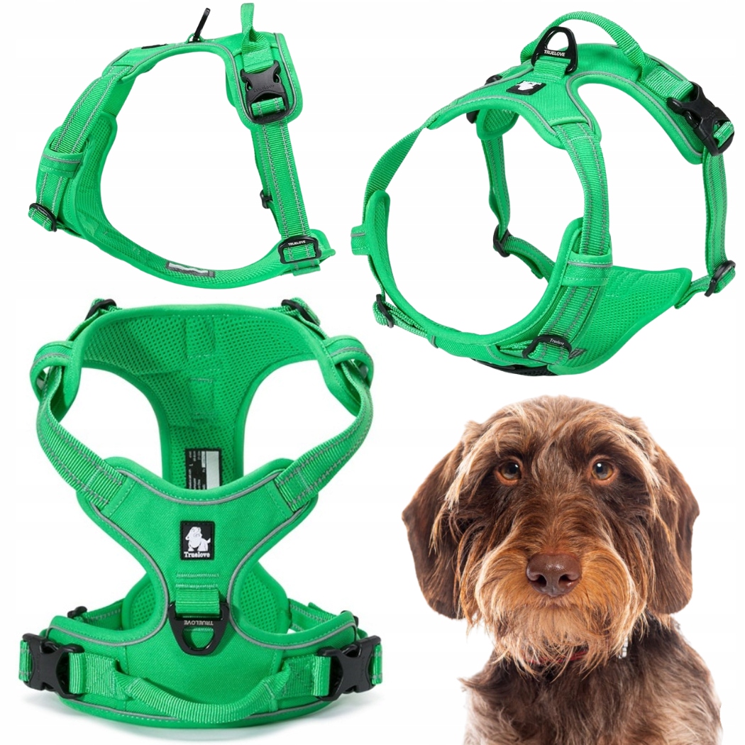 Obojky Pro Psa Truelove Easy Walk Silné, Odolné, Reflexní, Zelené