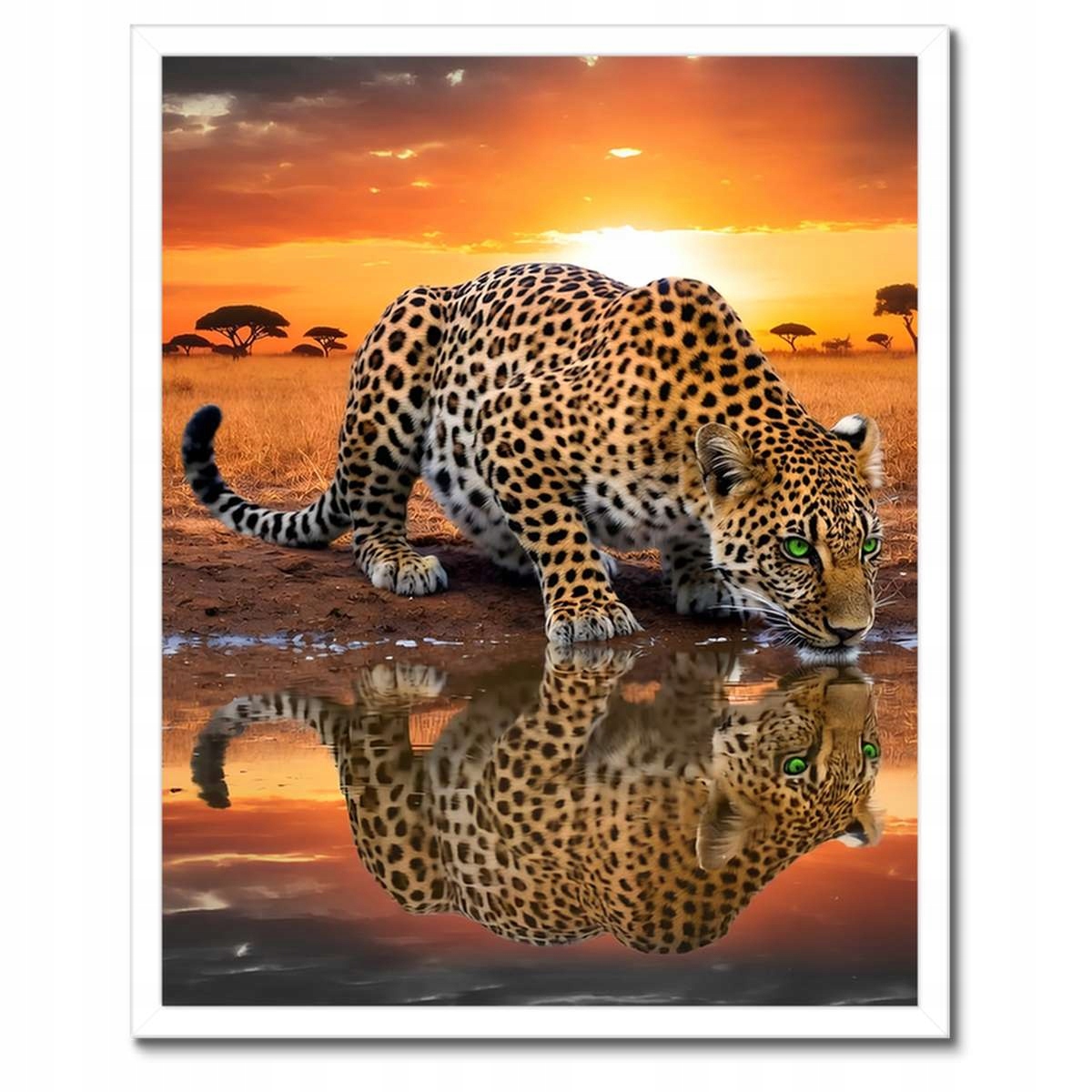 Plakát v bílém rámu 40x50 Na Zeď Gepard Tygr Jaguar