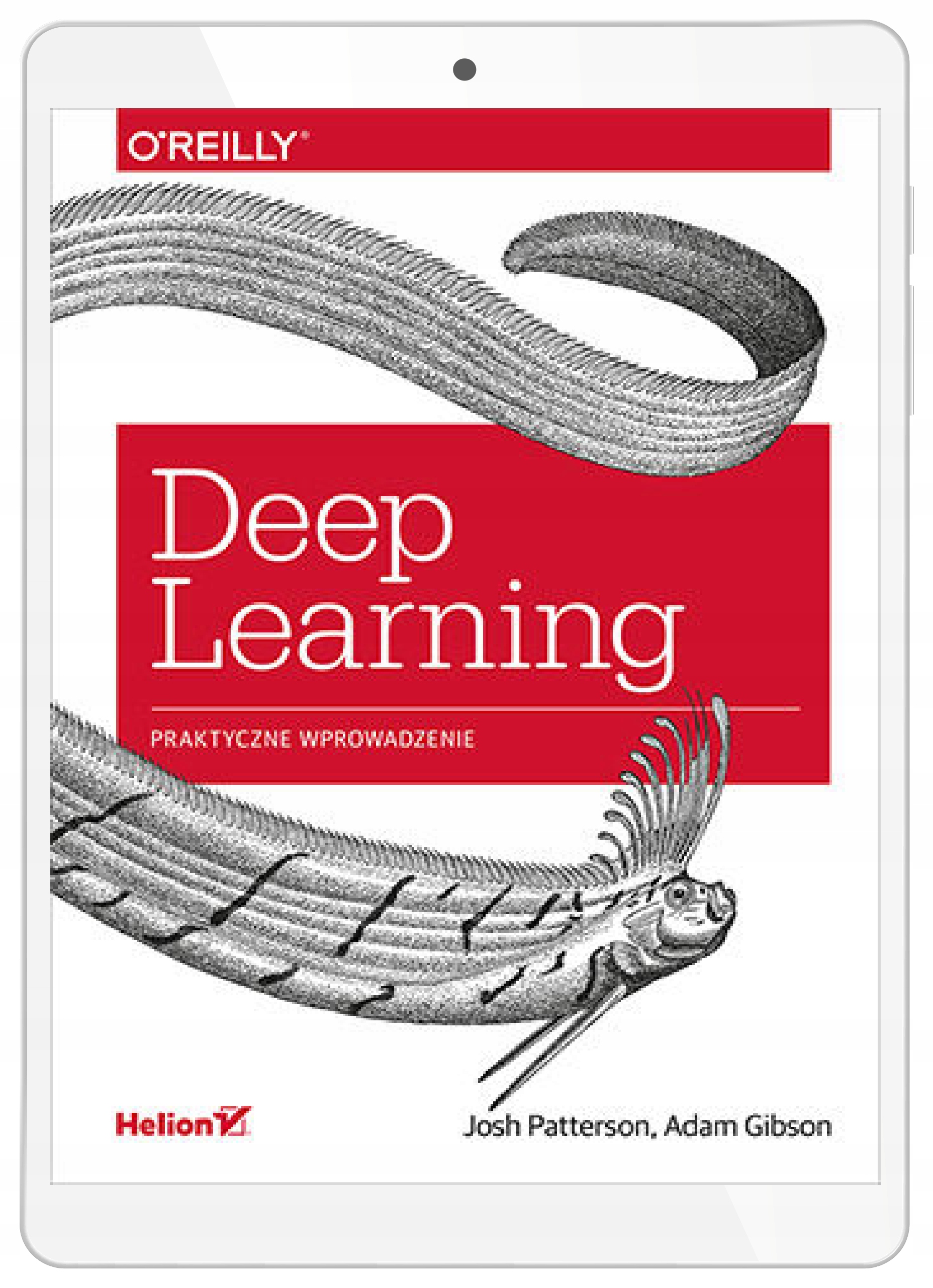 Deep Learning. Практическое введение