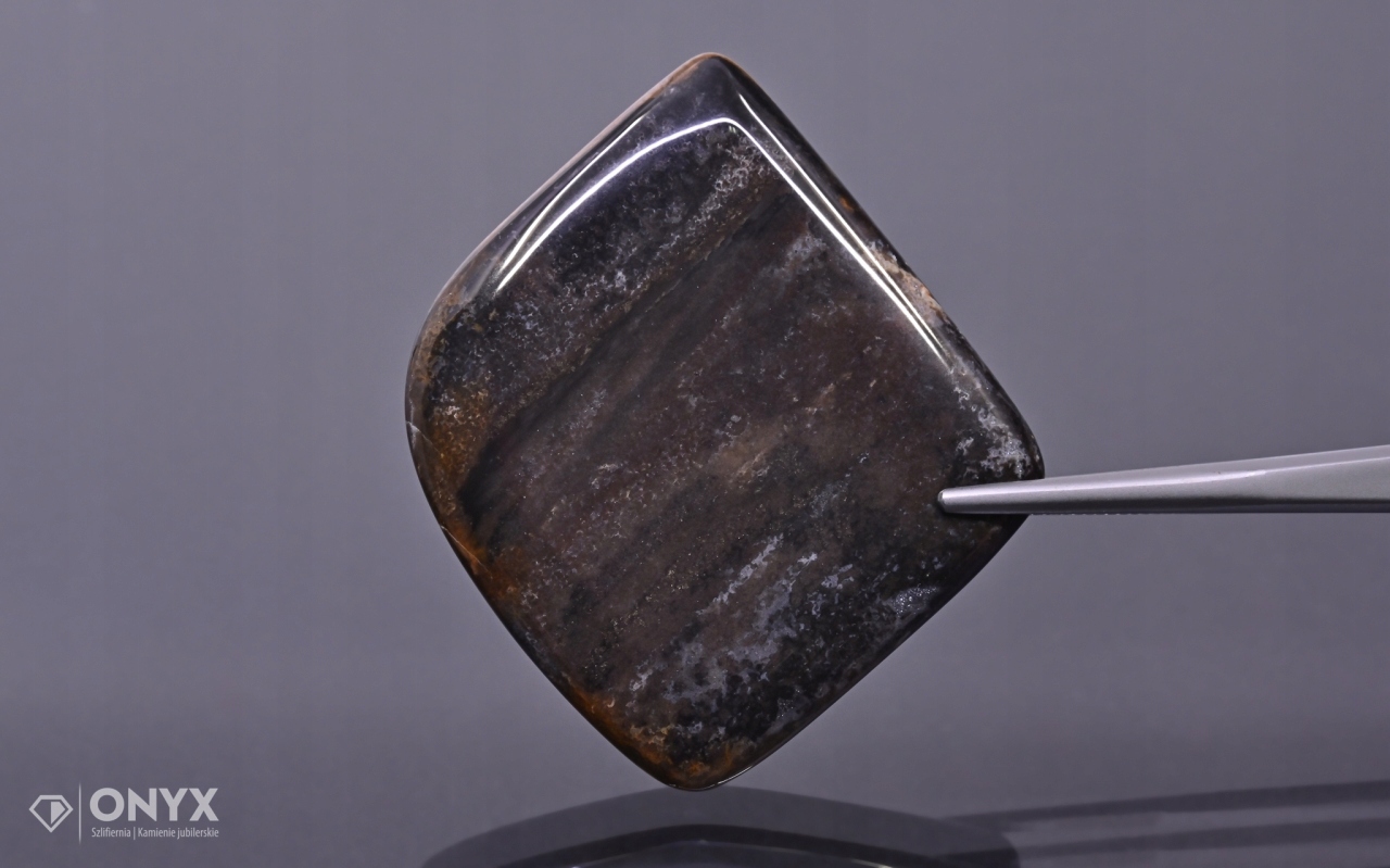 Dřevo fosilní konvexní nepravidelná dlažba 43x39 mm