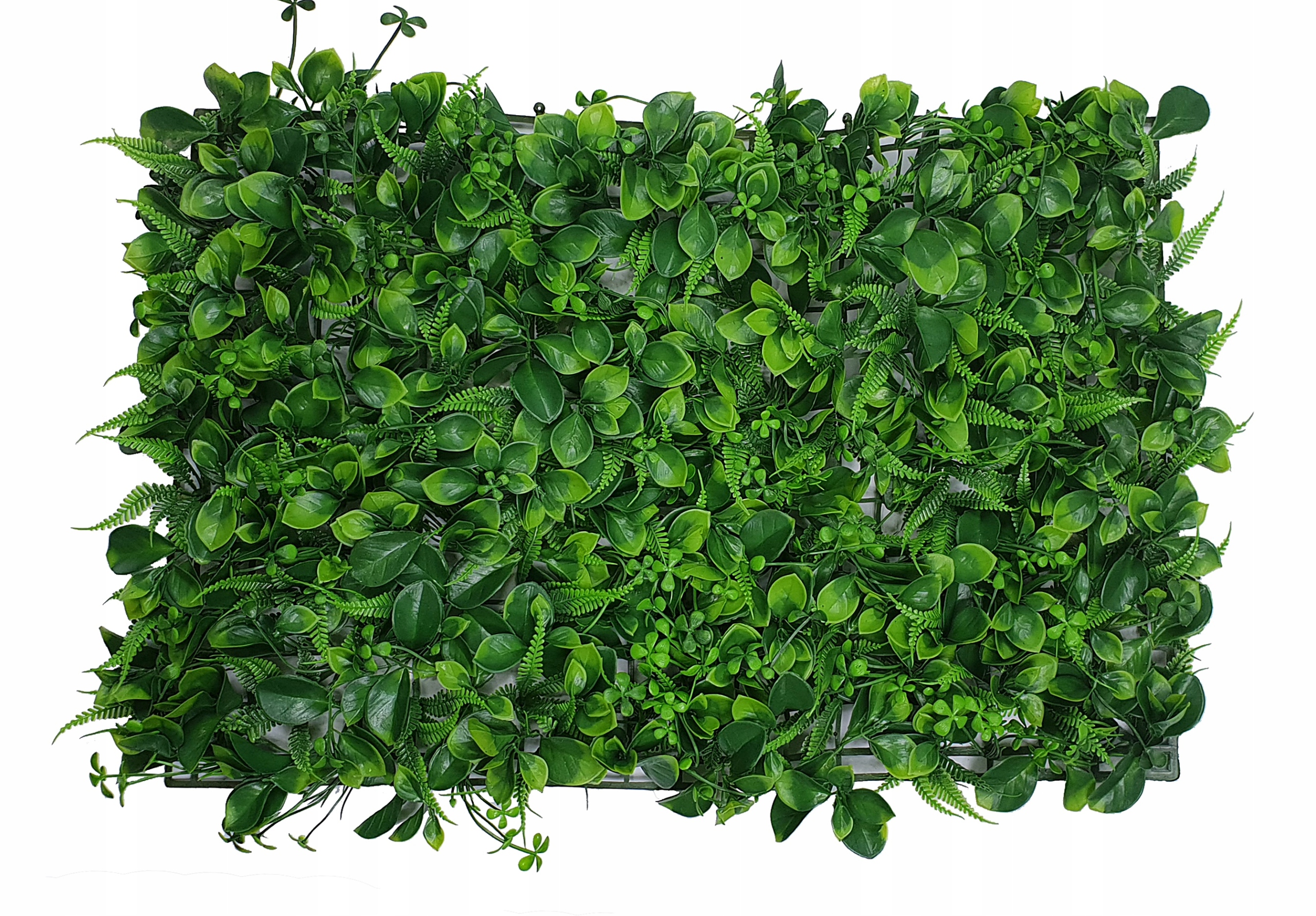 MATA ZIELONE ROŚLINY 40X60 cm ŻYWOPŁOT liście