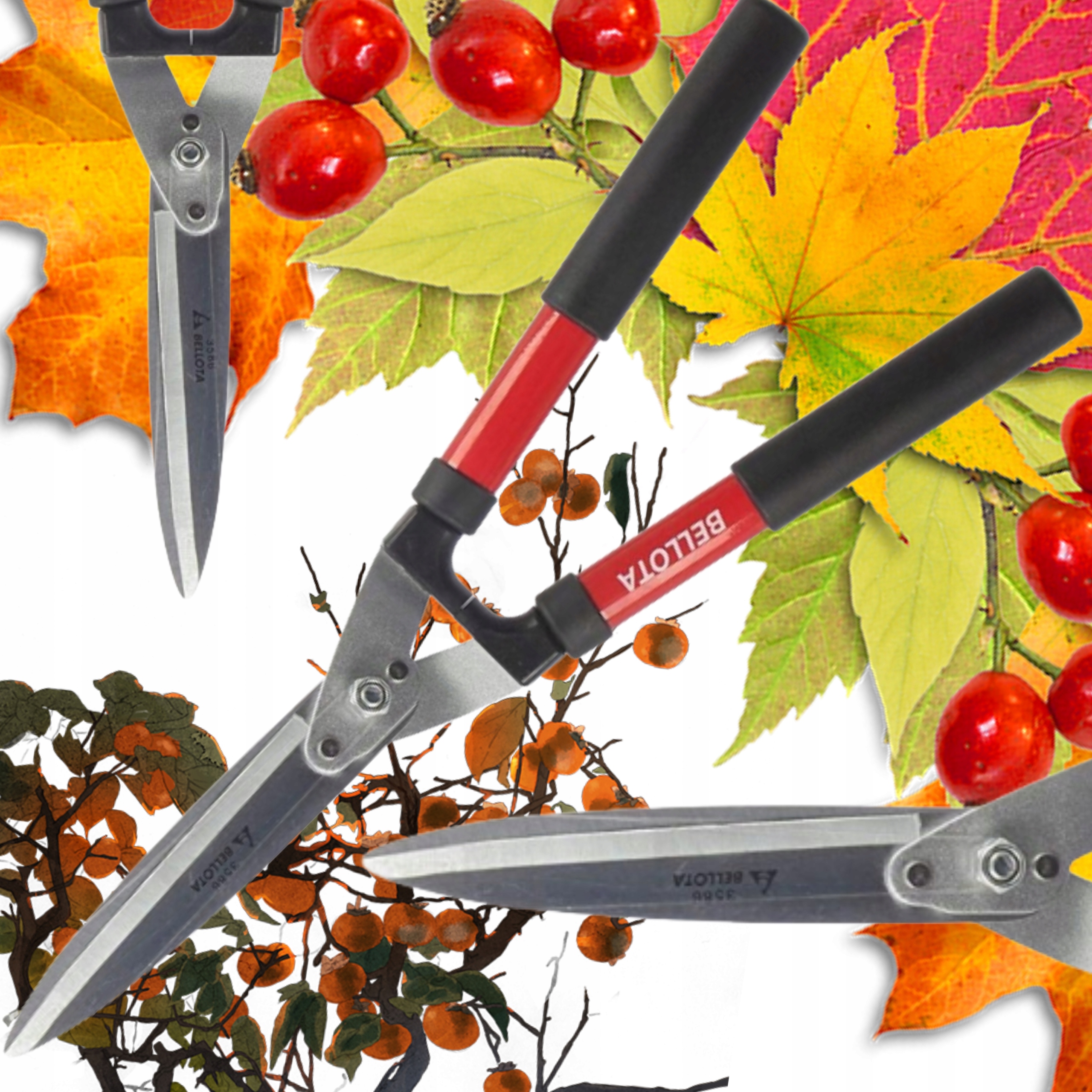 Nożyce Ręczne Ostre Sekator Do Cięcia Strzyżenia Żywopłotu Bluszcz Bellota