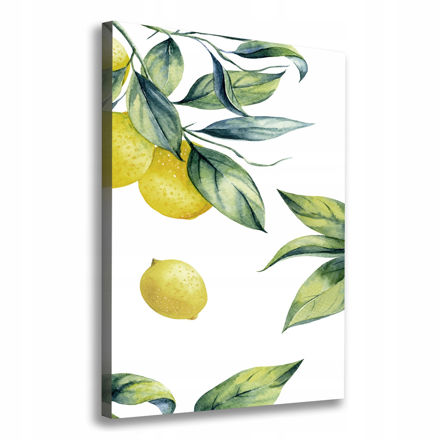 

Nowoczesny obraz canvas na ramie Cytryny 70x100 cm