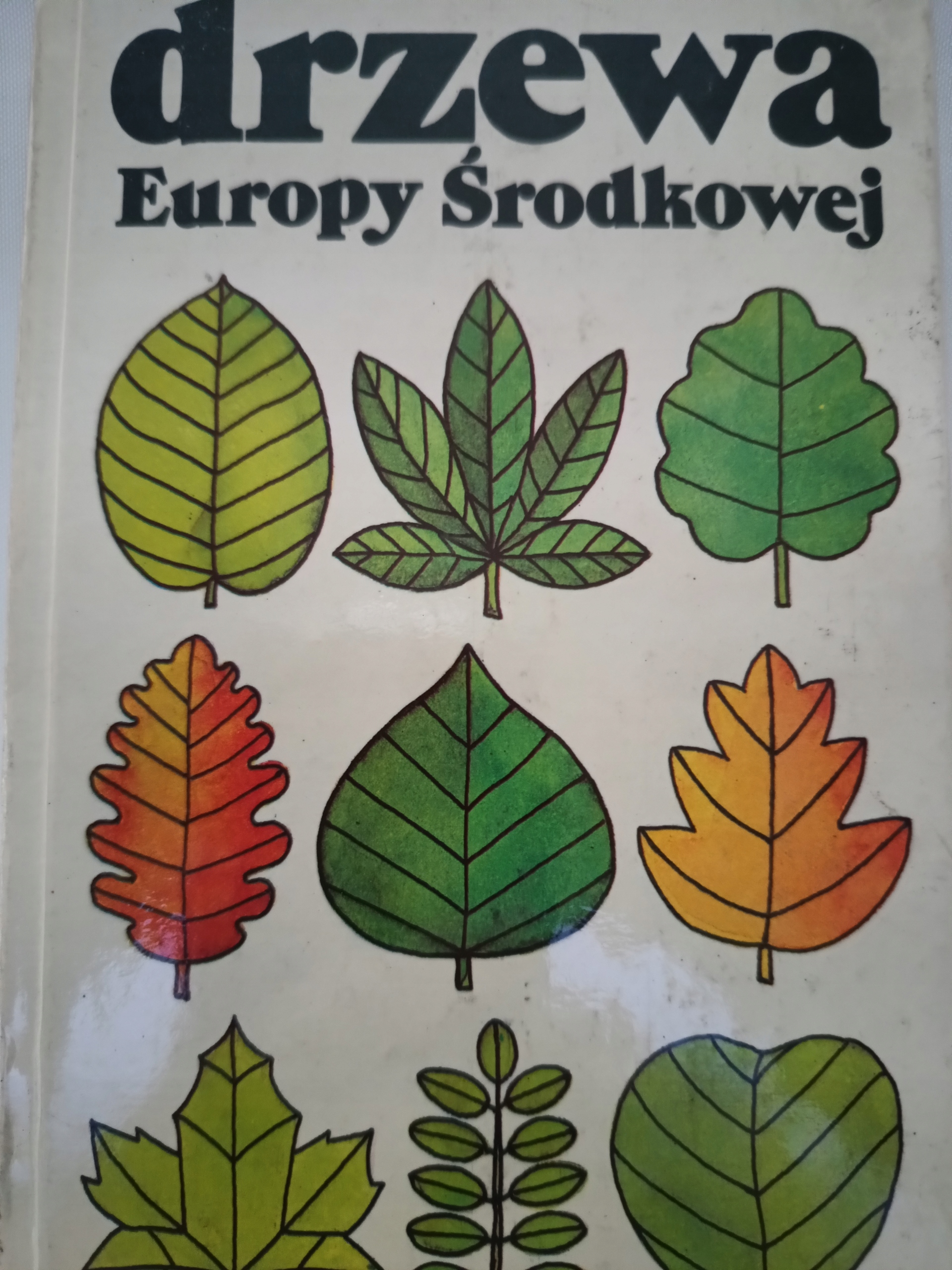 ДЕРЕВЬЯ ЦЕНТРАЛЬНОЙ ЕВРОПЫ