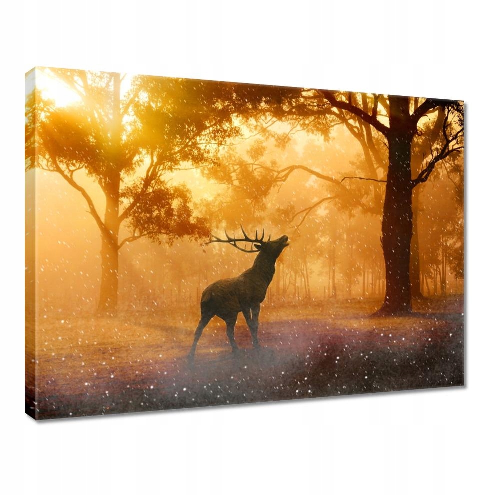 

Obrazy 40x30 Jeleń w lesie