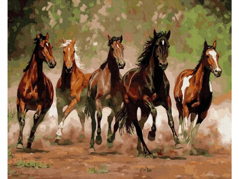 Obraz Malování Podle Čísel Rám 50x40cm Stádo Divokých Koní