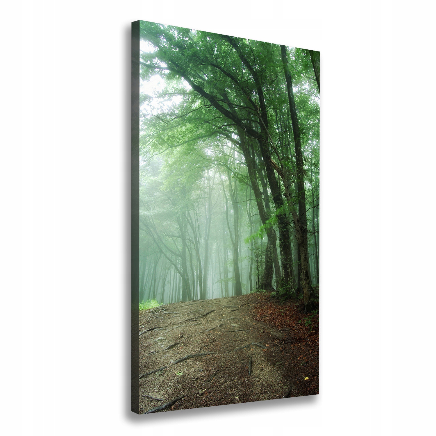 

Foto obraz canvas do salonu Mgła w lesie 50x100